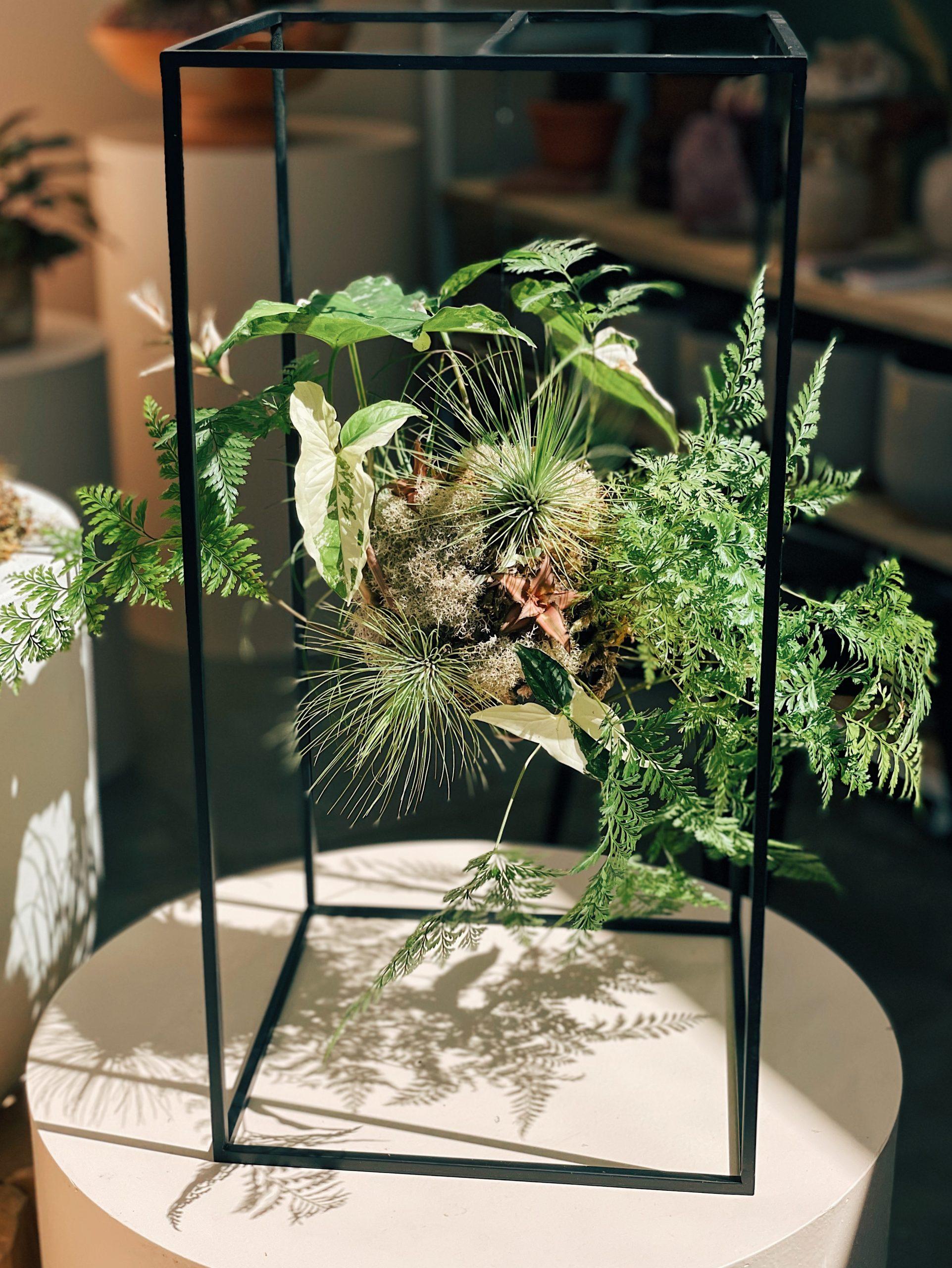 Processed with VSCO with e3 preset