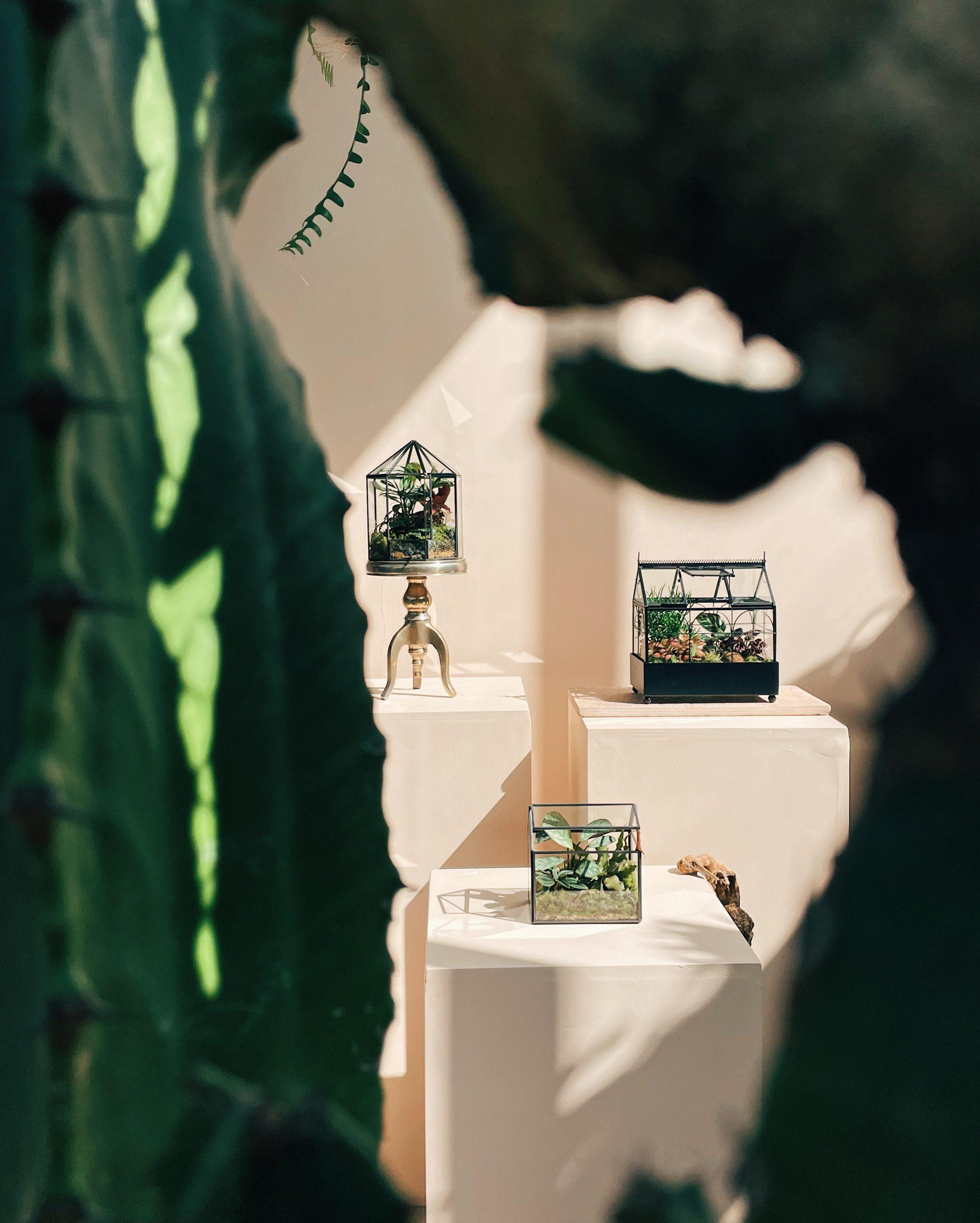 Processed with VSCO with e3 preset