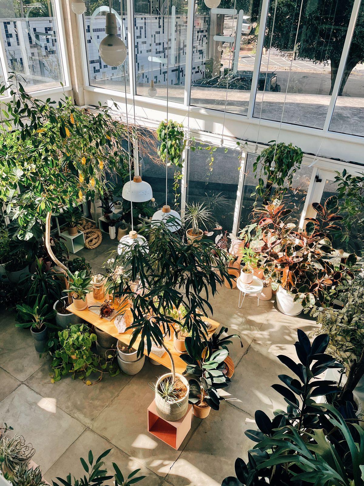 WhatsApp Image 2024-02-29 at 16.04.23