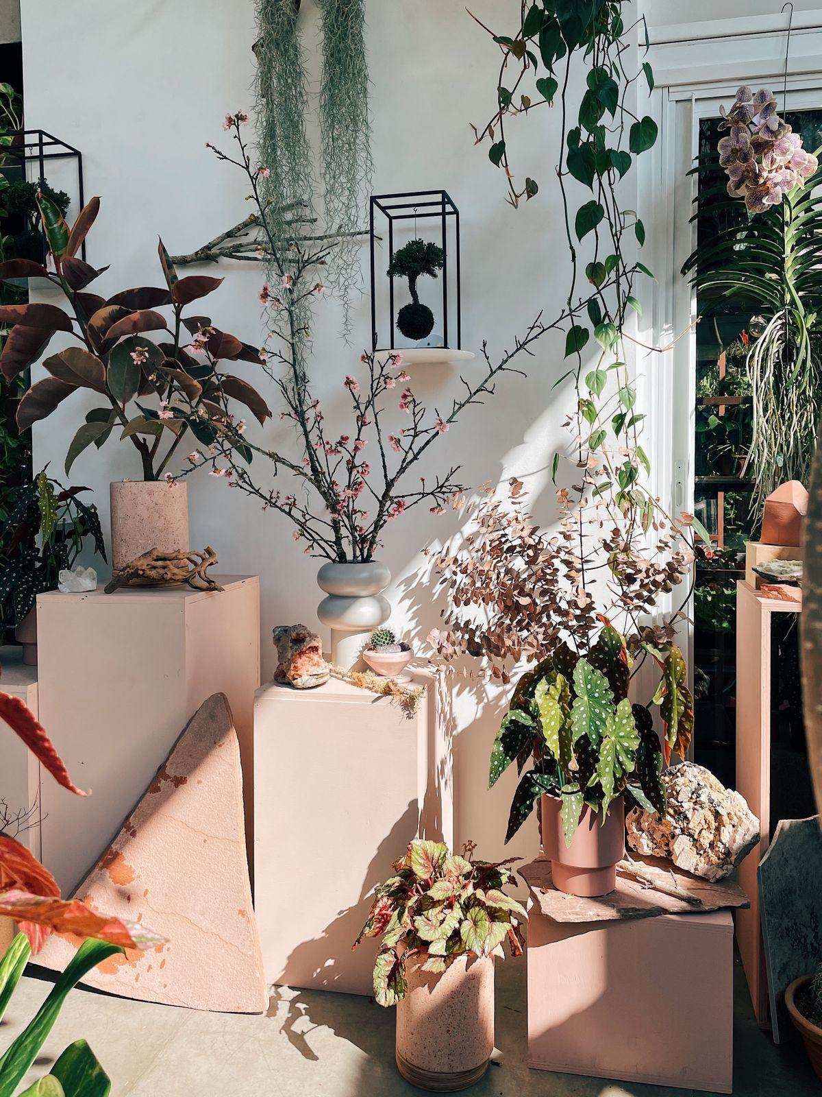 WhatsApp Image 2024-02-29 at 16.04.24 (3)