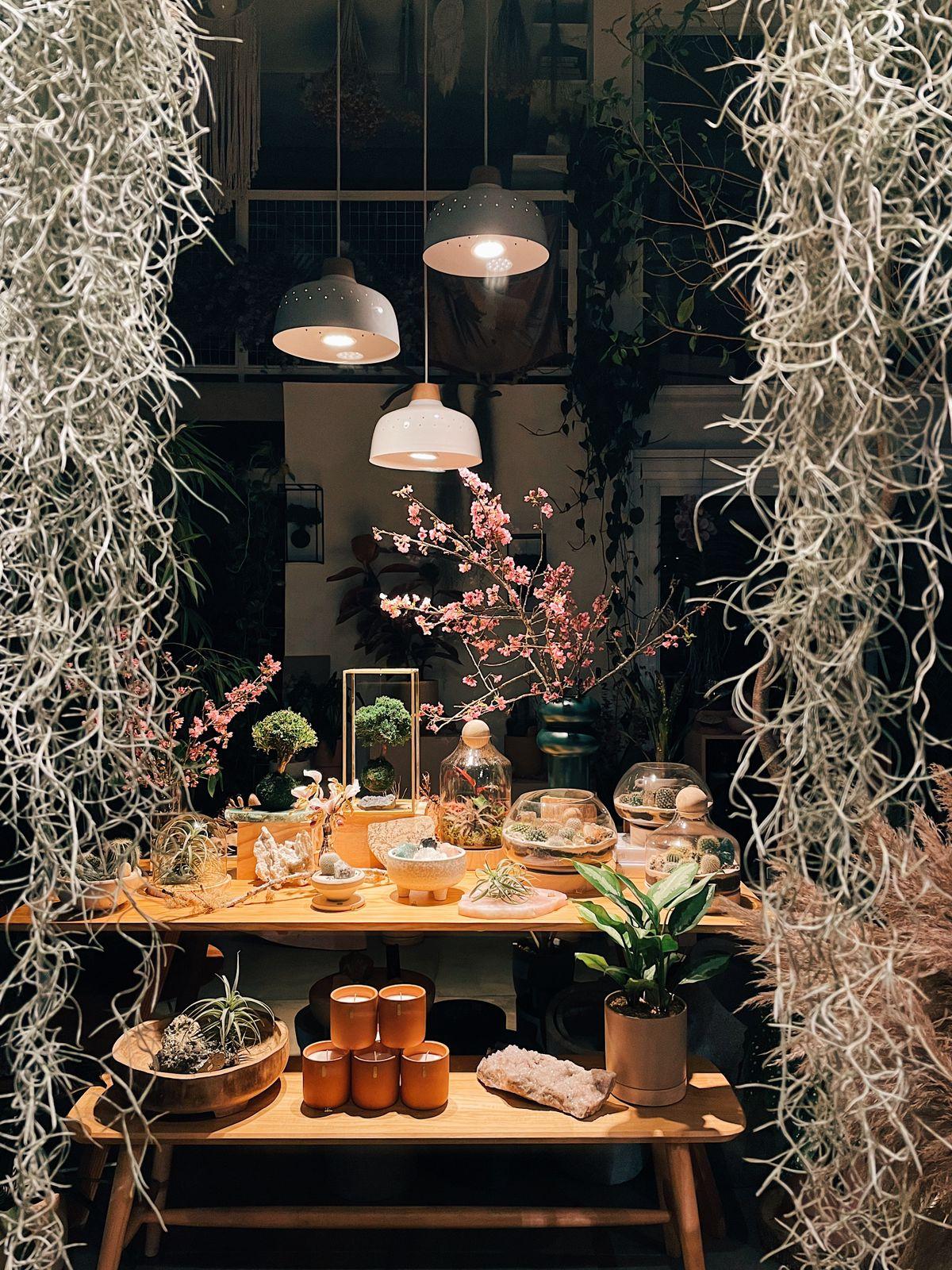 WhatsApp Image 2024-02-29 at 16.04.25