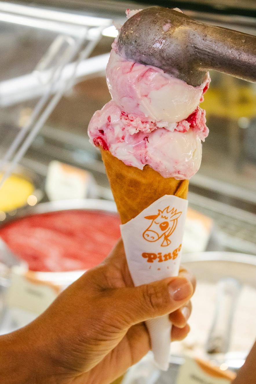 Pingo Latte - 3 sabores